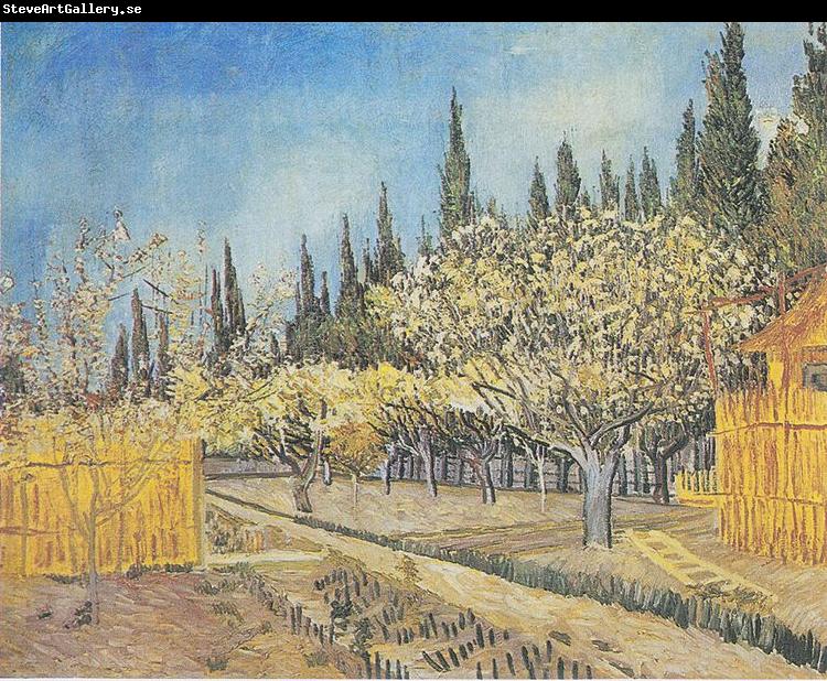 Vincent Van Gogh Flowering orchard